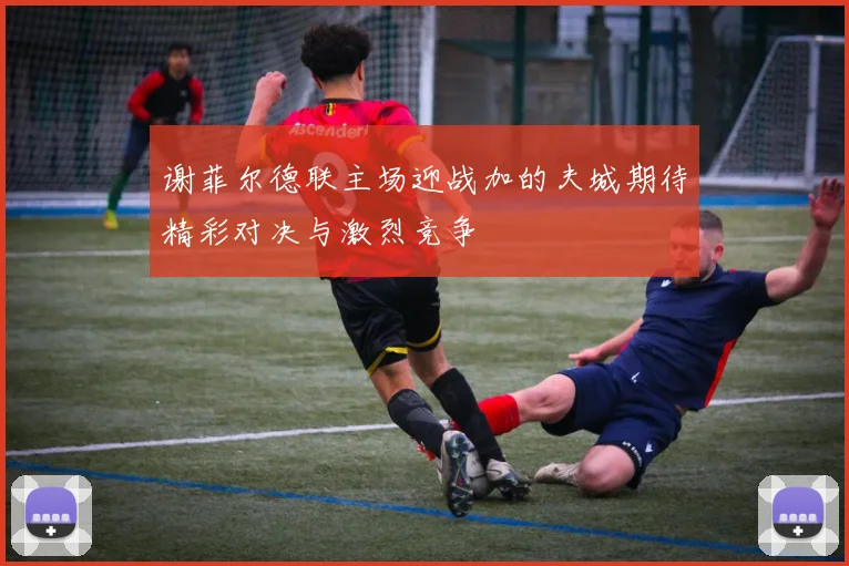 谢菲尔德联主场迎战加的夫城期待精彩对决与激烈竞争