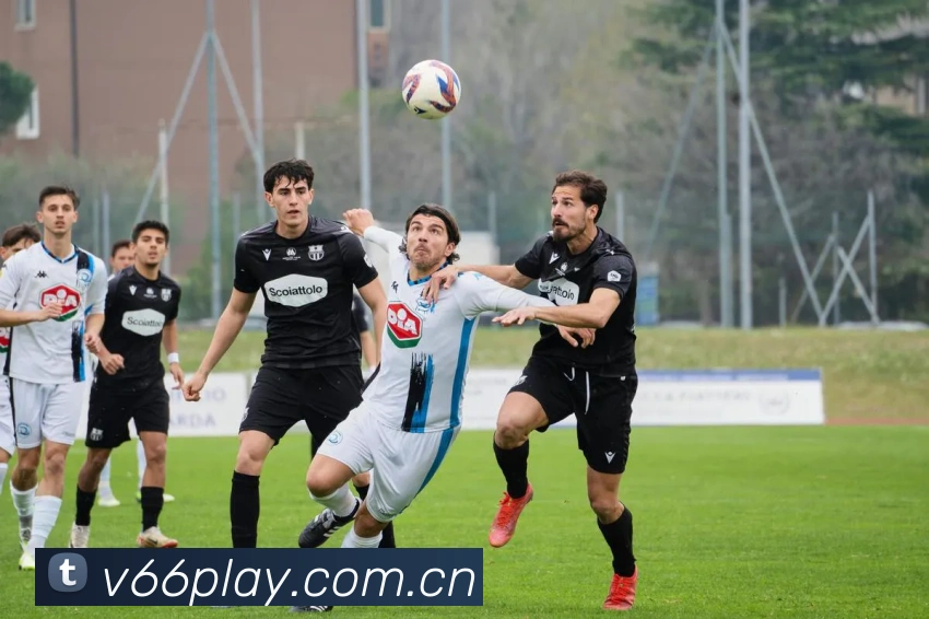 多媒体互动体验